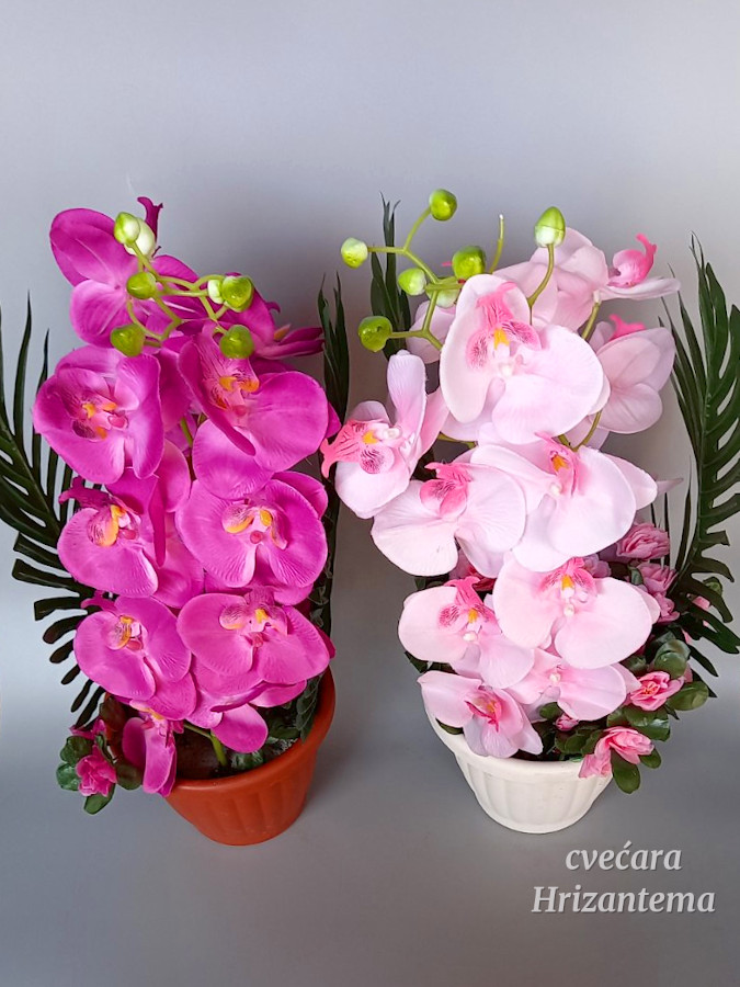 vestacko cvece ljubicasto roze orhideje saksija gips