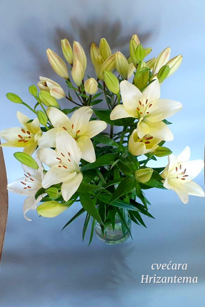 beli ljiljan prirodni rezani komadni cvet